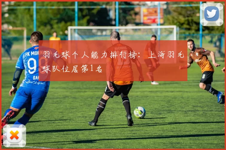 羽毛球个人能力排行榜：上海羽毛球队位居第1名