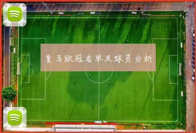 皇马欧冠名单及球员分析