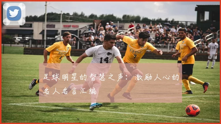 足球明星的智慧之声：激励人心的名人名言汇编