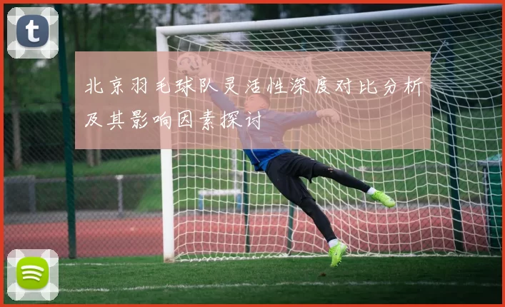 北京羽毛球队灵活性深度对比分析及其影响因素探讨