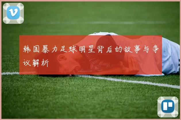 韩国暴力足球明星背后的故事与争议解析