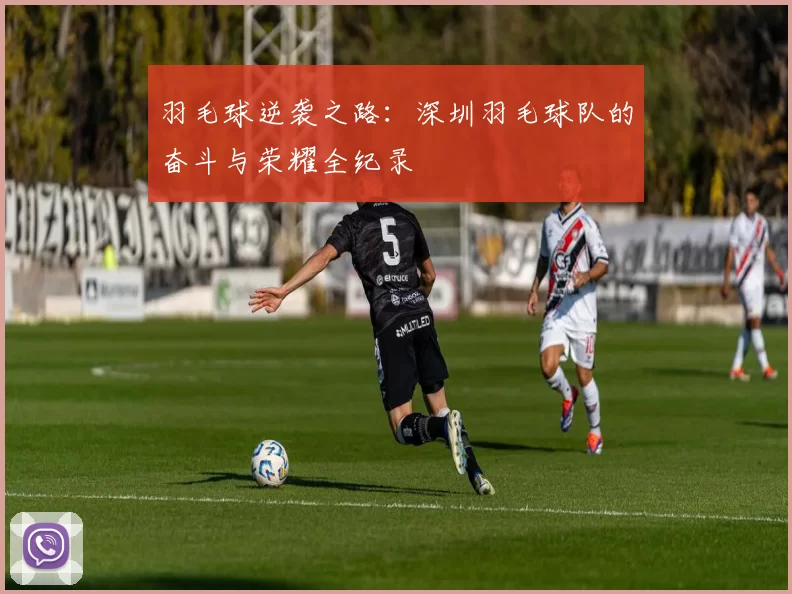 羽毛球逆袭之路：深圳羽毛球队的奋斗与荣耀全纪录