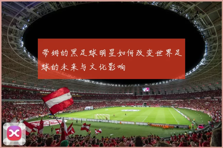 带姆的黑足球明星如何改变世界足球的未来与文化影响