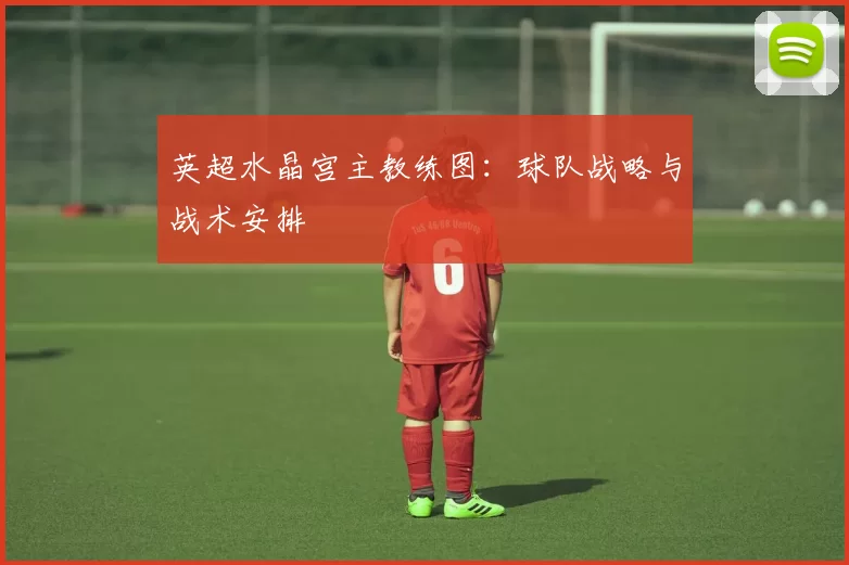 英超水晶宫主教练图：球队战略与战术安排