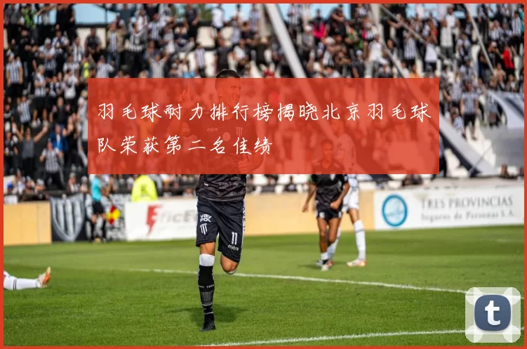 羽毛球耐力排行榜揭晓北京羽毛球队荣获第二名佳绩