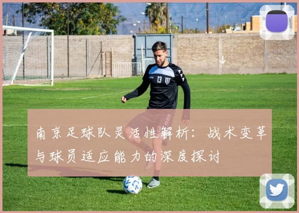 南京足球队灵活性解析：战术变革与球员适应能力的深度探讨