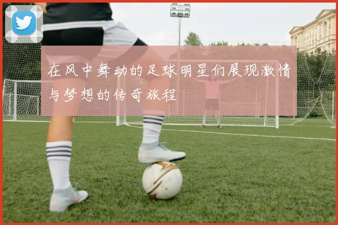 在风中舞动的足球明星们展现激情与梦想的传奇旅程