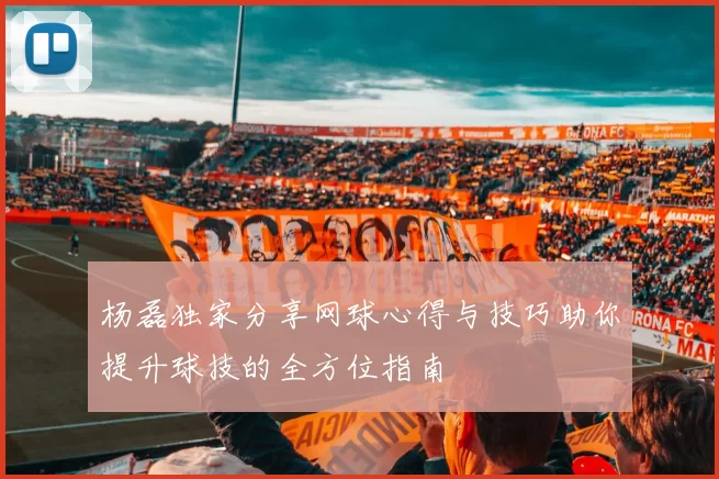 杨磊独家分享网球心得与技巧助你提升球技的全方位指南