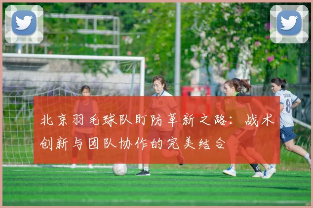 北京羽毛球队盯防革新之路：战术创新与团队协作的完美结合