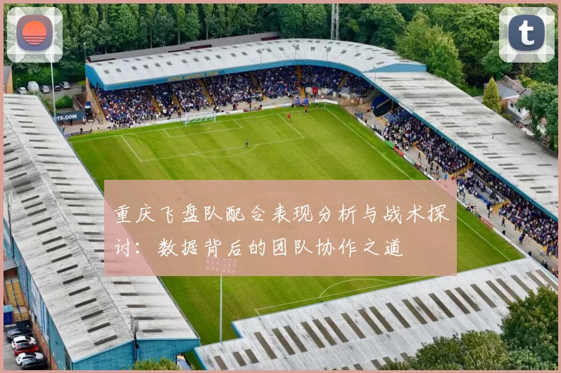 重庆飞盘队配合表现分析与战术探讨：数据背后的团队协作之道