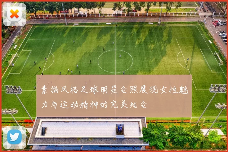 素描风格足球明星合照展现女性魅力与运动精神的完美结合