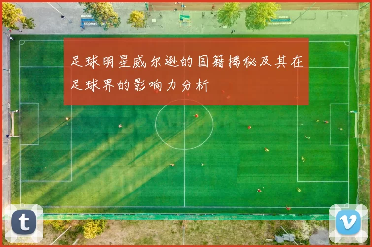 足球明星威尔逊的国籍揭秘及其在足球界的影响力分析